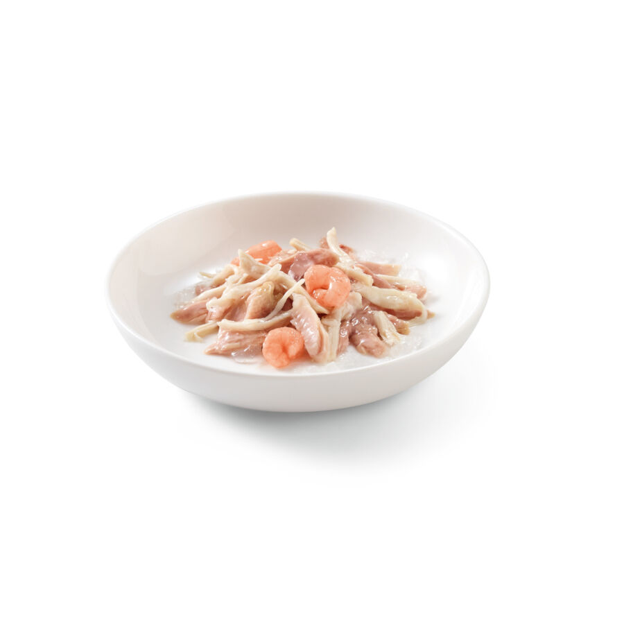 85 g Schesir Adult at&uacute;n con pollo y gambas sobre para gatos, , large indicador imagen numero 2